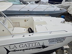 Catamarán con motores fuera de borda