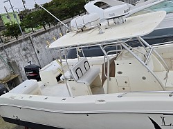 World Cat 33 en venta en Cancún